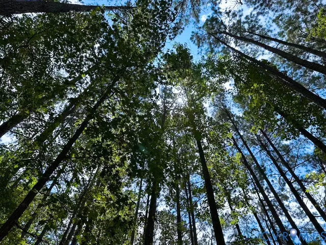 $924,900 | 4373 Newville Road, Waverly, VA 23890