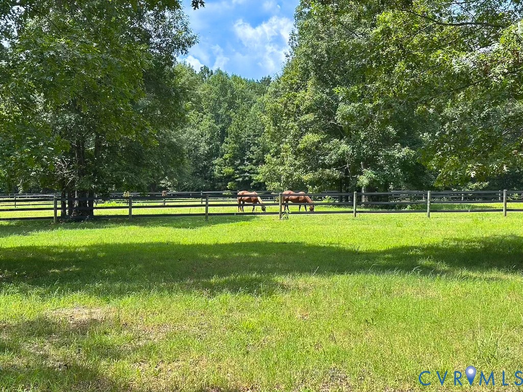 4373 Newville Road Waverly, VA 23890 - Photo 4 of 45