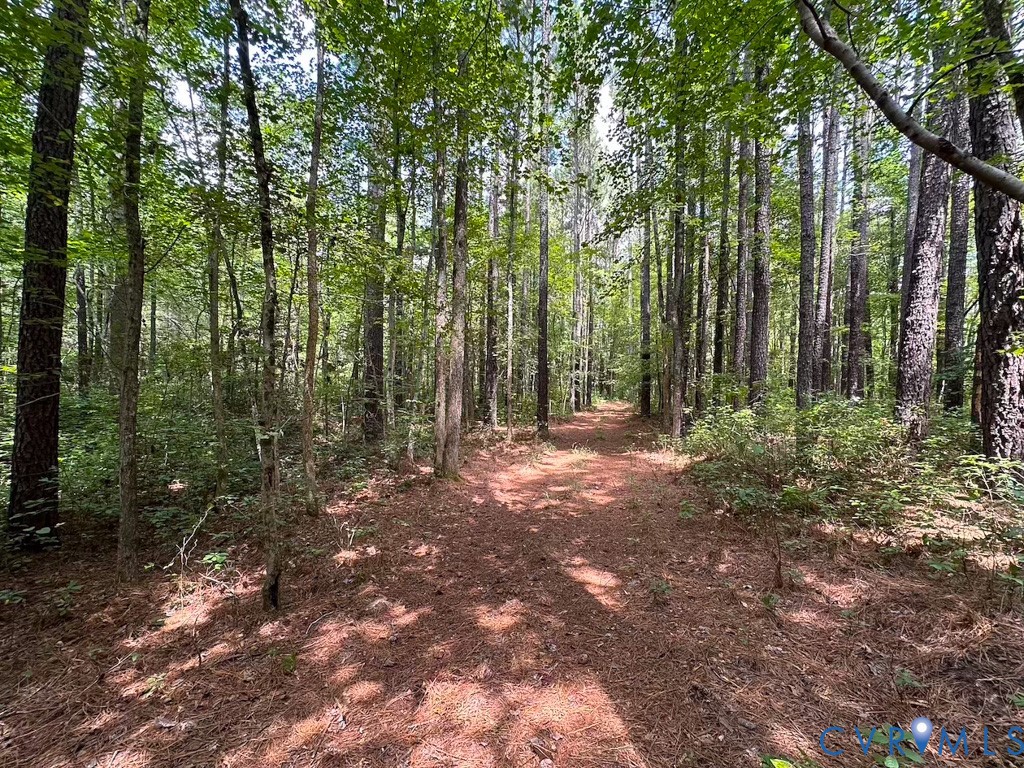 4373 Newville Road Waverly, VA 23890 - Photo 41 of 45