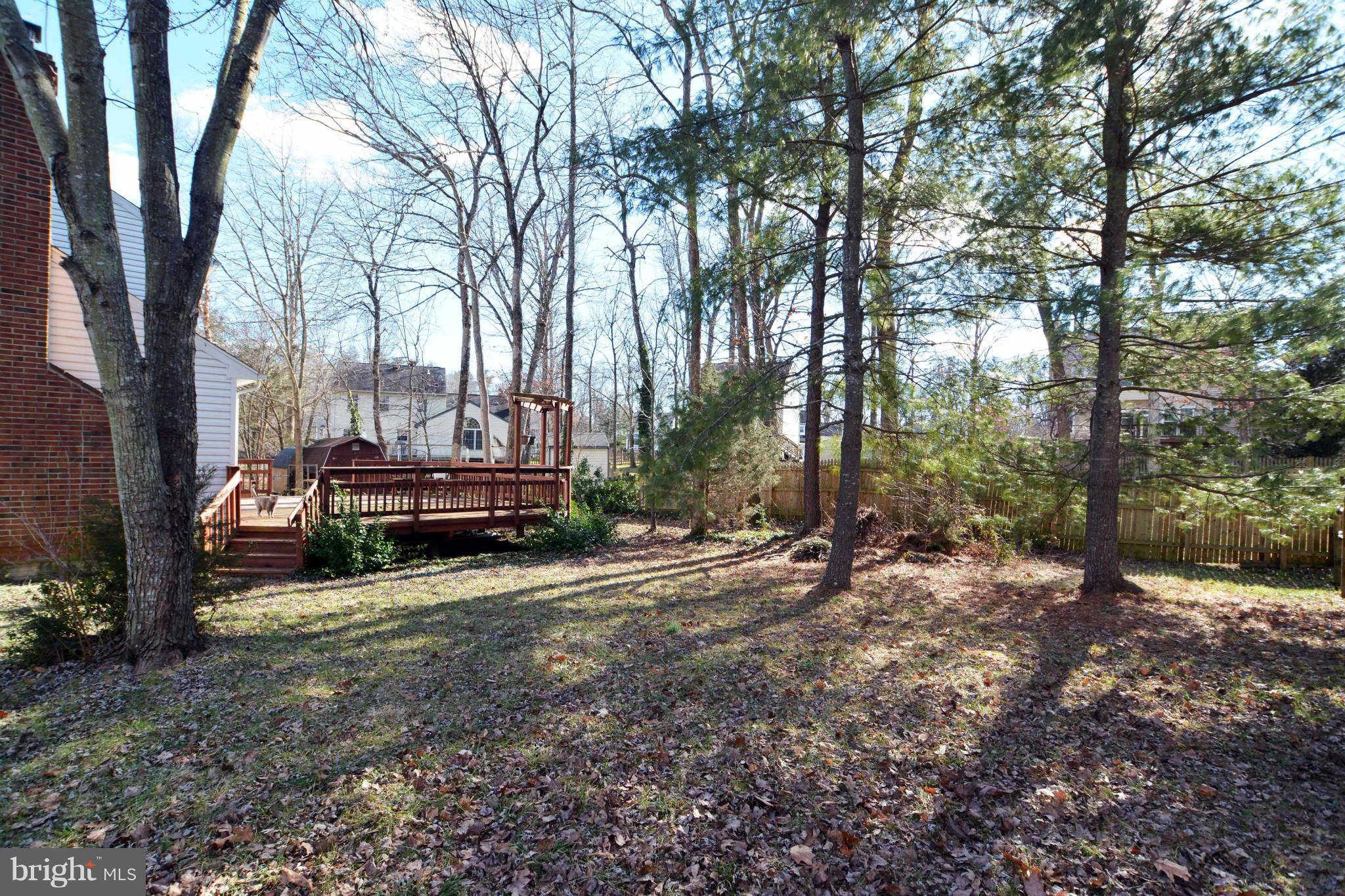 15213 Elk Run Road Chantilly, VA 20151 - Photo 4 of 26 YARD 3