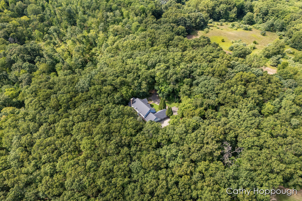 735 Prairie Creek Road Ionia, MI 48846 - Photo 75 of 81