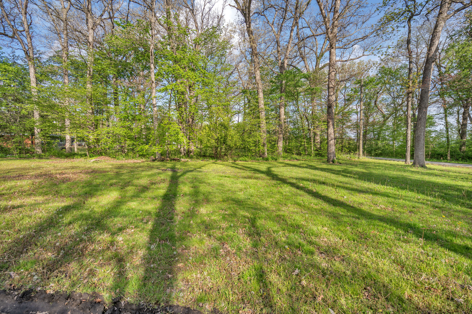 5458 Timber Lane West Monee, IL 60449 - Photo 36 of 43