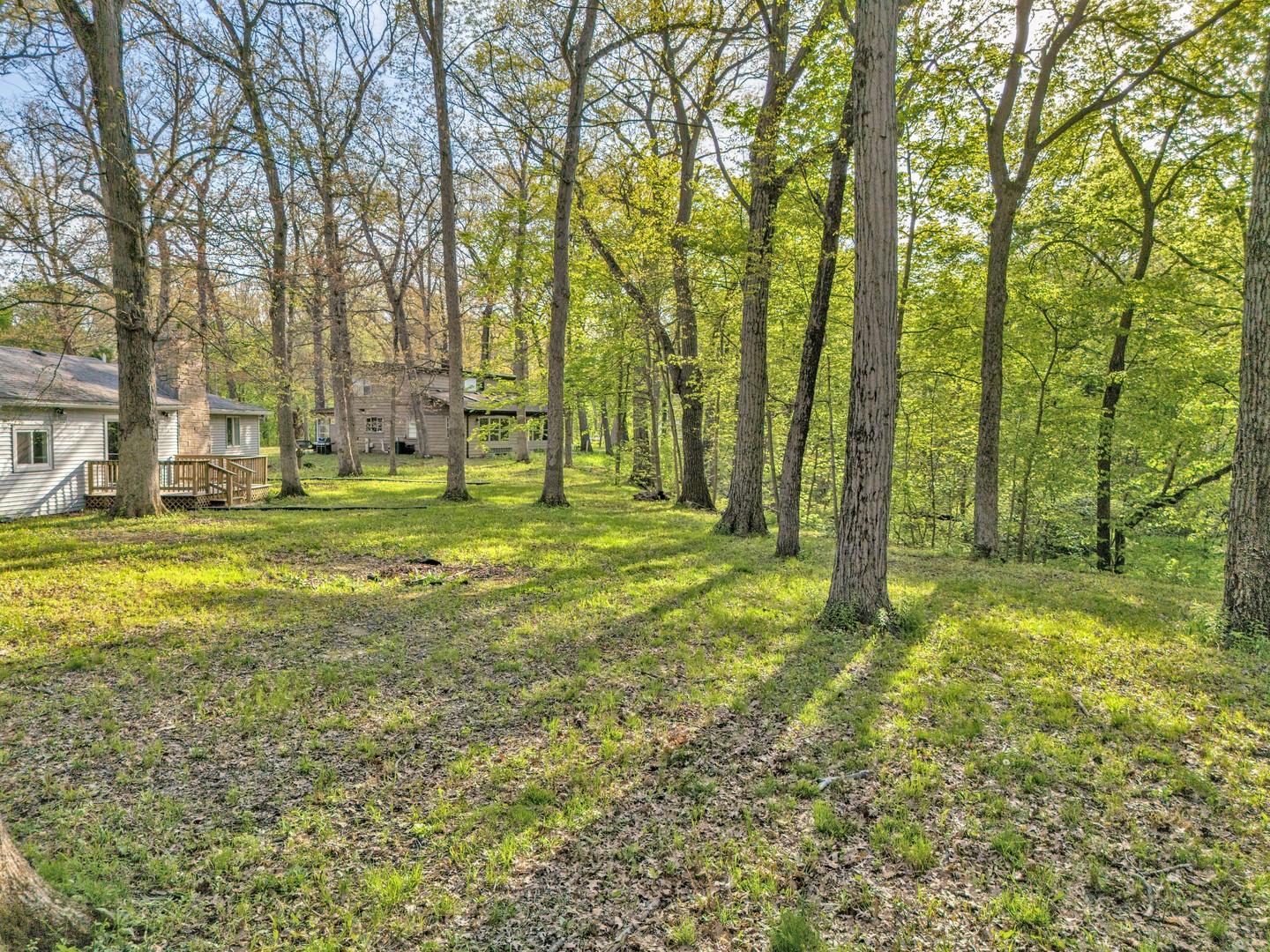 5458 Timber Lane West Monee, IL 60449 - Photo 39 of 43