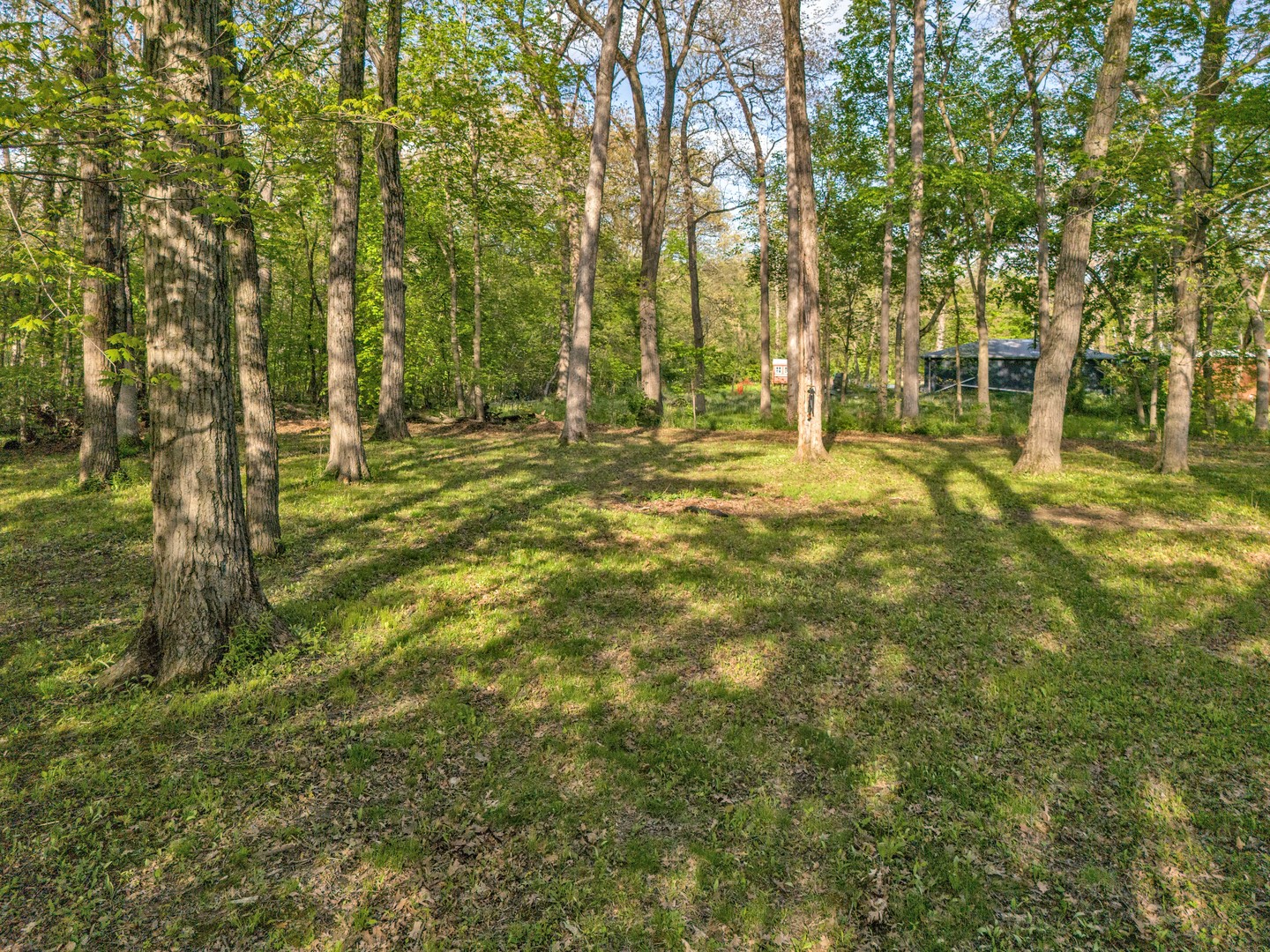 5458 Timber Lane West Monee, IL 60449 - Photo 42 of 43