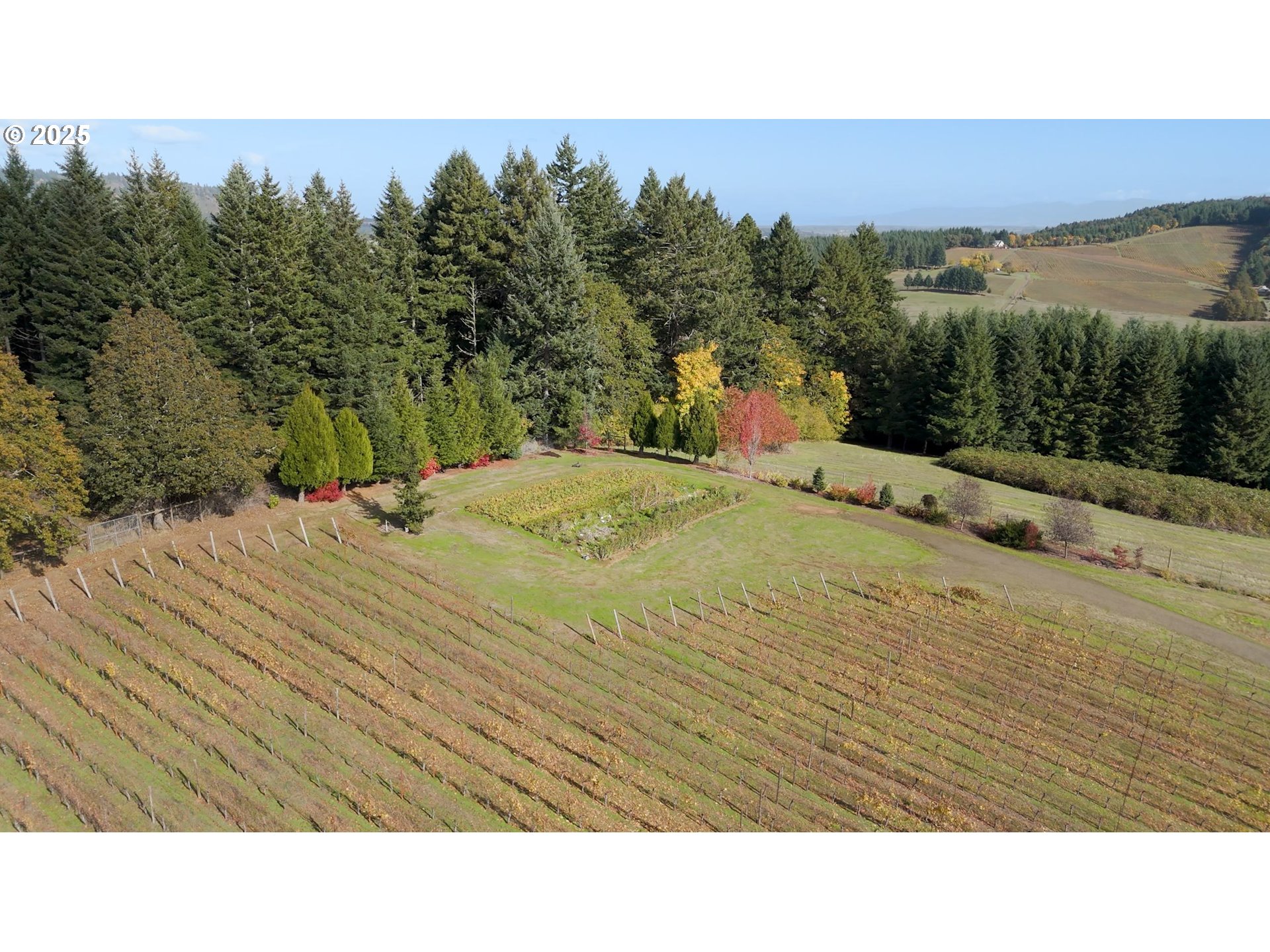 25219 High Pass Road Junction City, OR 97448 - Photo 11 of 23