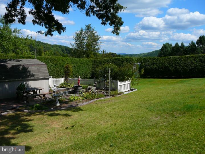 48 Peach Tree Lane Reading, PA 19608 - Photo 15 of 20 Back Yard