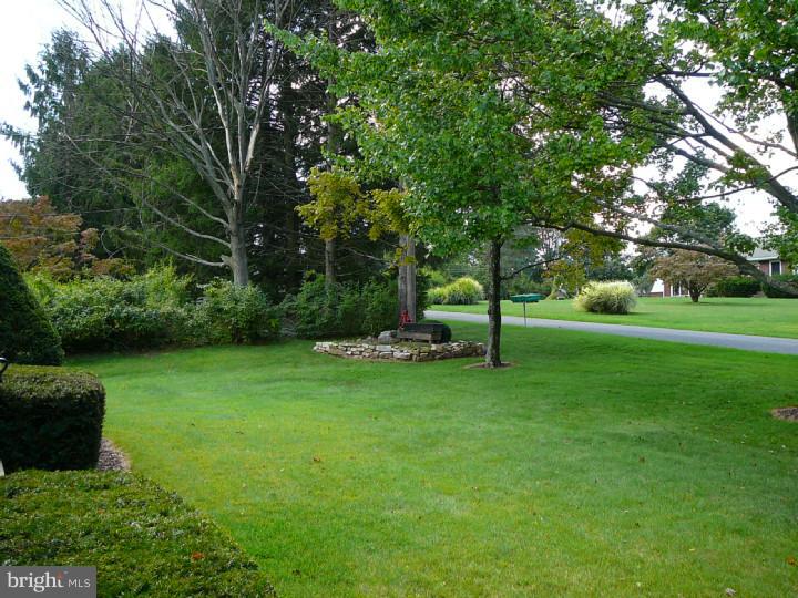 48 Peach Tree Lane Reading, PA 19608 - Photo 16 of 20 Front Yard