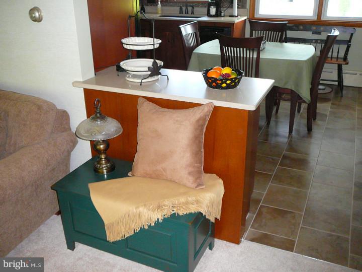 48 Peach Tree Lane Reading, PA 19608 - Photo 7 of 20 Kitchen