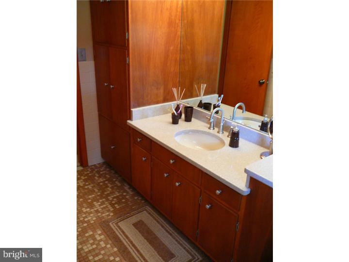 48 Peach Tree Lane Reading, PA 19608 - Photo 10 of 20 Master Bathroom