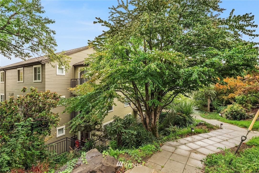 3901 Fremont Avenue North, Unit 206 Seattle, WA 98103 - Photo 11 of 15 a backyard of a house with lots of green space