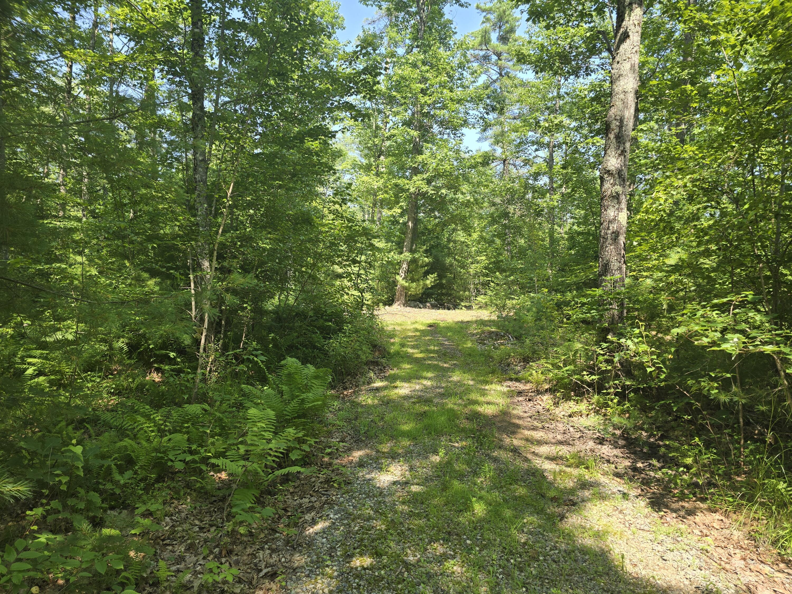 0 Head Tide Hill Road Alna, ME 04535 - Photo 5 of 12 20250716_143735