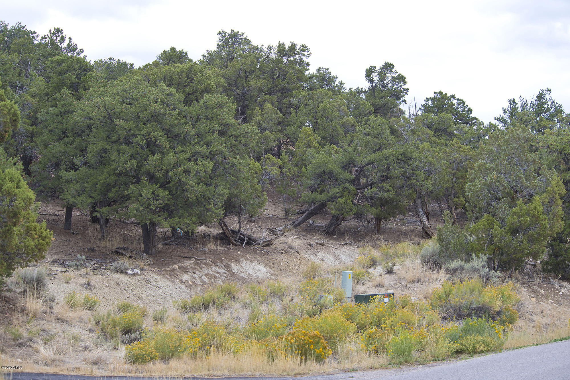 357-NielsonGulch-MLS_02