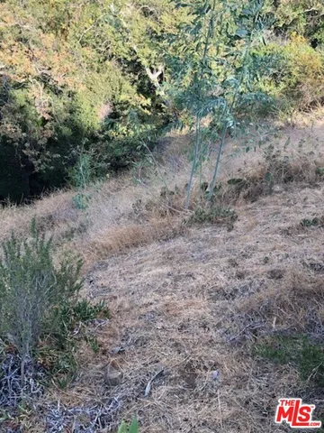 $350,000 | 2301 Northeast Nichols Canyon, Los Angeles, CA 90046