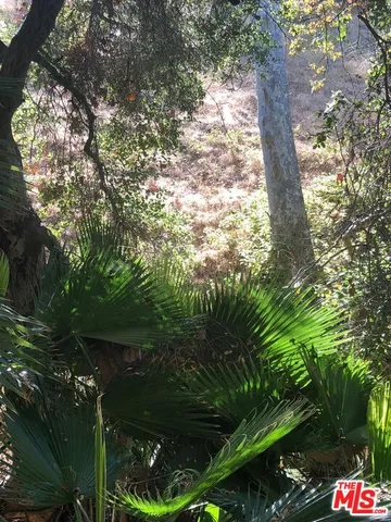 $350,000 | 2301 Northeast Nichols Canyon, Los Angeles, CA 90046