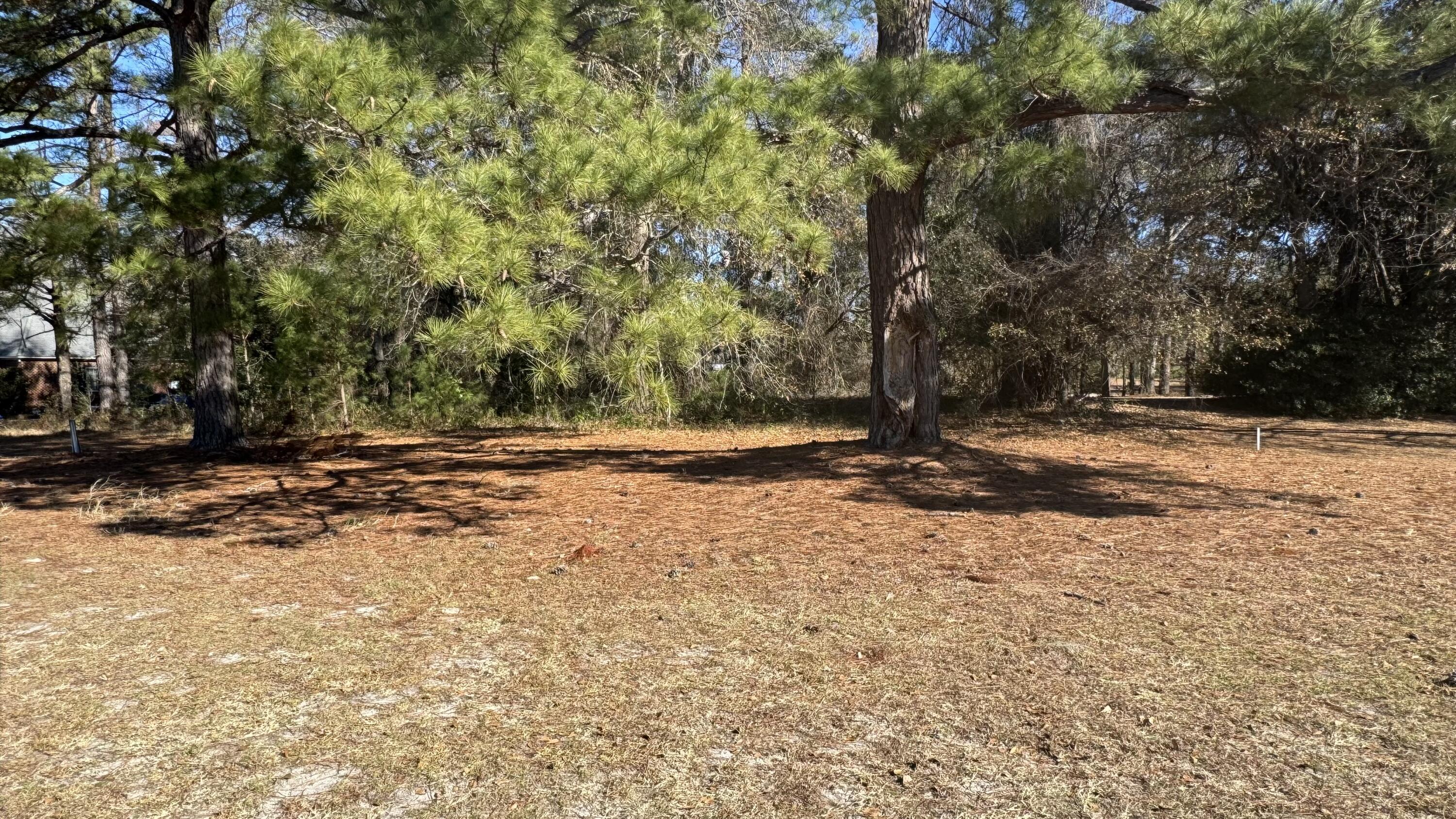 Tbd Bloomville Road Manning, SC 29102 - Photo 2 of 7 From Golf Course