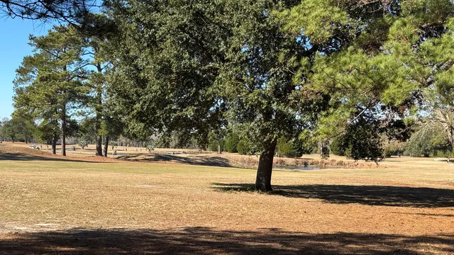 $55,000 | Tbd Bloomville Road, Manning, SC 29102