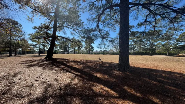 $55,000 | Tbd Bloomville Road, Manning, SC 29102