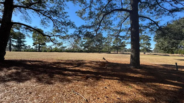 $55,000 | Tbd Bloomville Road, Manning, SC 29102