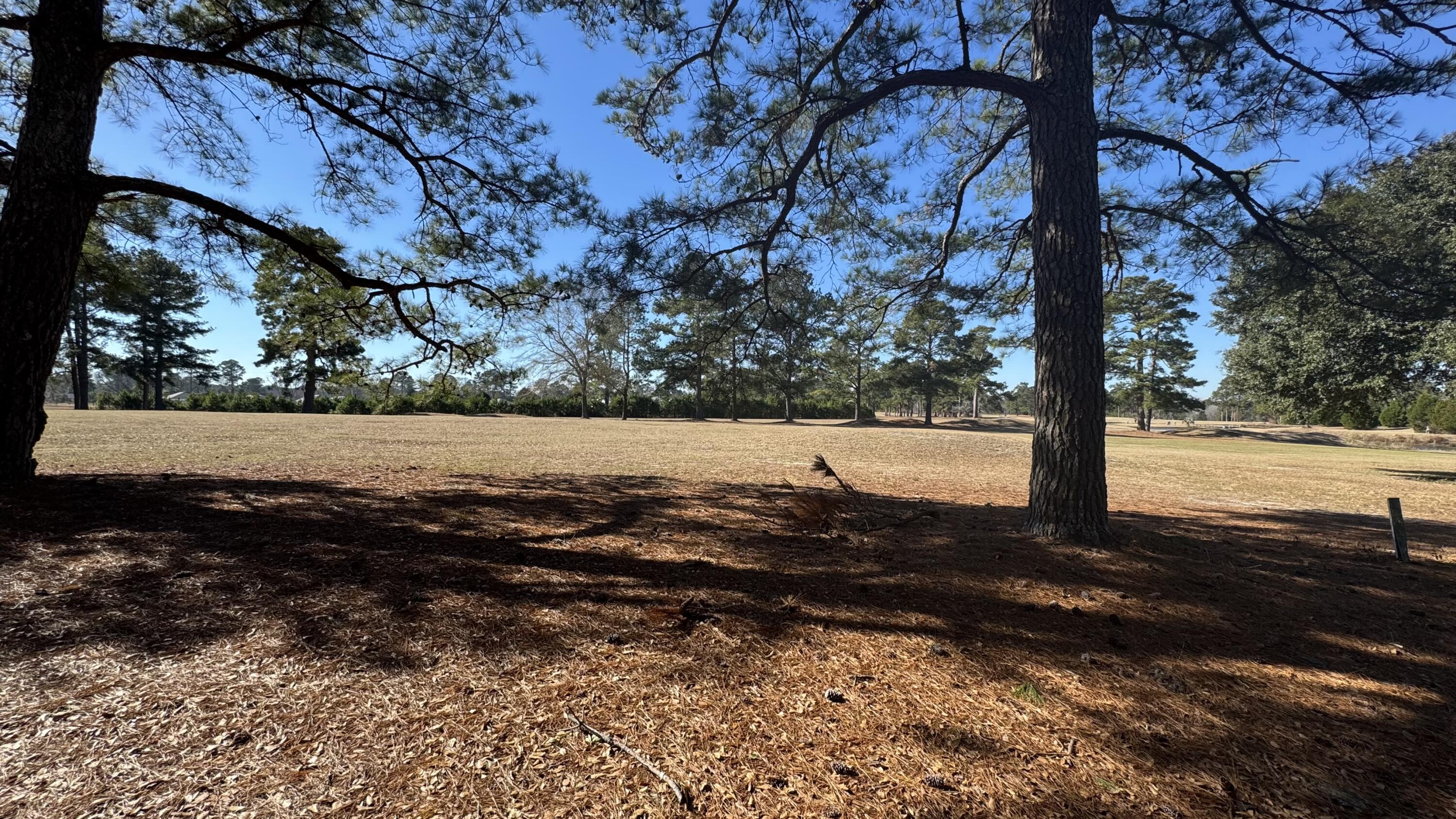 Tbd Bloomville Road Manning, SC 29102 - Photo 5 of 7 Golf Course View