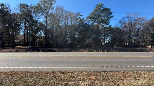 $55,000 | Tbd Bloomville Road, Manning, SC 29102