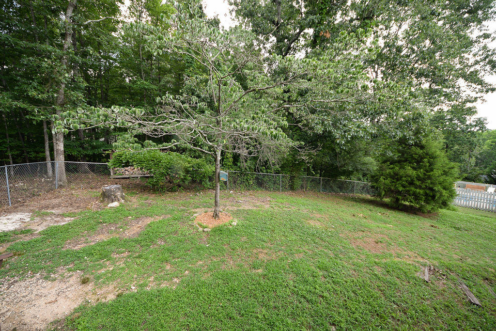 6207 Hidden Hill Road Harrison, TN 37341 - Photo 41 of 63 DSC_4101