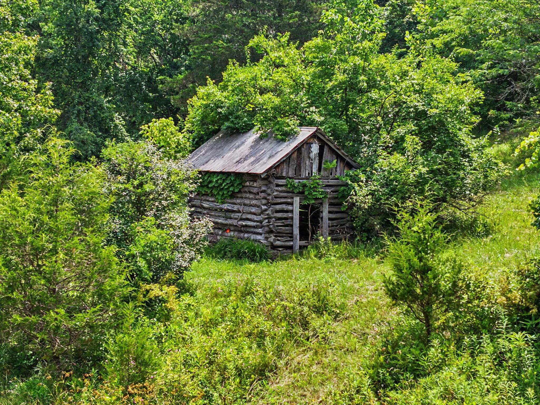 9766 Sullivan Road Union, KY 41091 - Photo 46 of 50 The corn crib on the property would be a great "clubhouse"