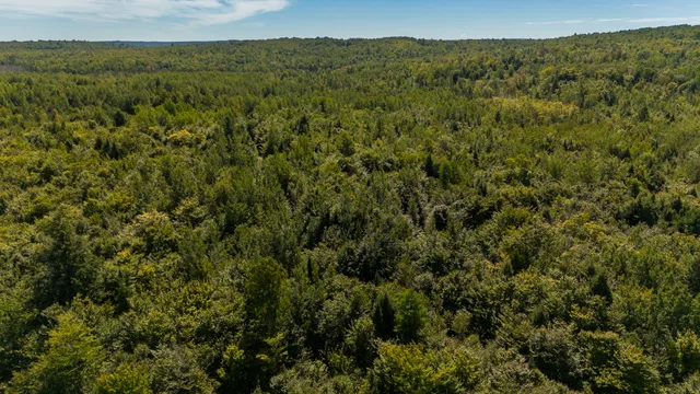 $399,000 | L4-m7 L4-m7 Off Of Carver Road, Milo, ME 04463