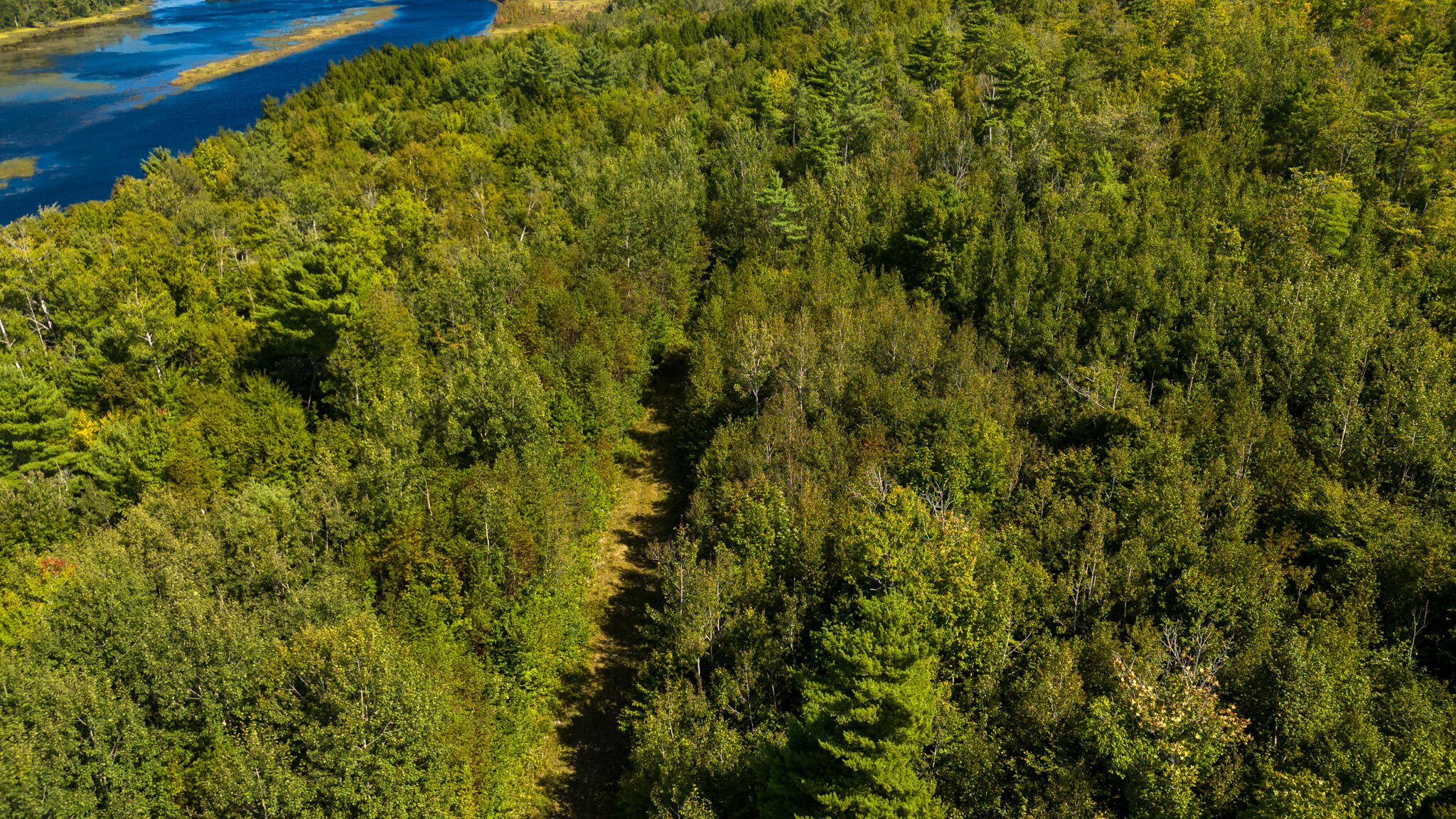 L4-m7 L4-m7 Off Of Carver Road Milo, ME 04463 - Photo 18 of 24 DJI_20240909131055_0894_D