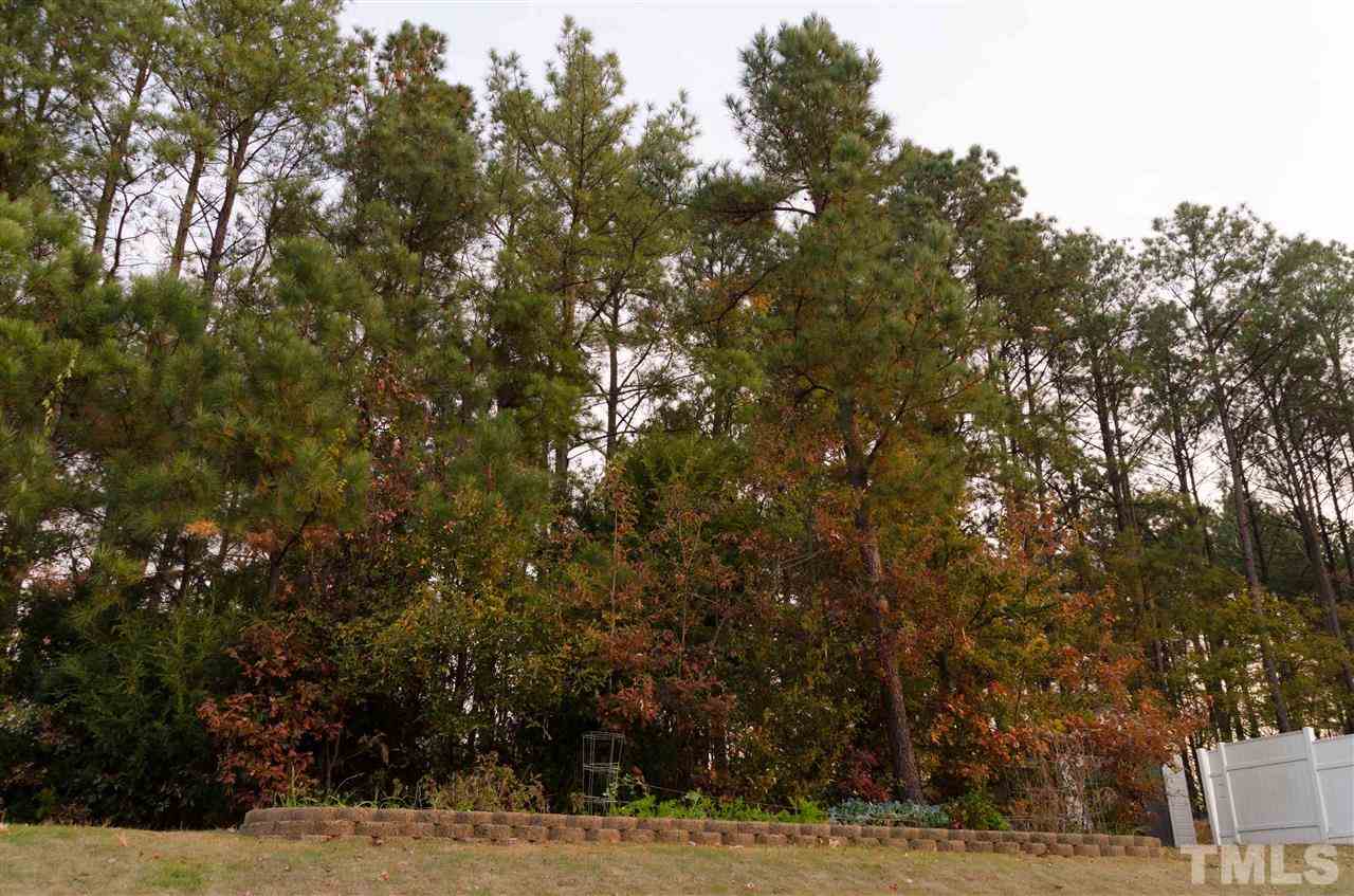 3545 Sunbright Lane Raleigh, NC 27610 - Photo 25 of 25 a view of a yard