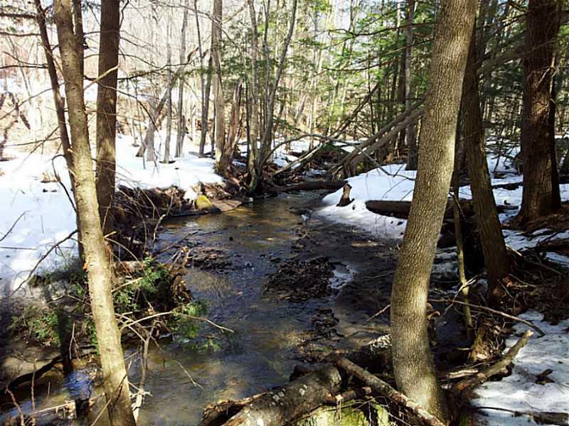 21 Verrill Road Minot, ME 04258 - Photo 9 of 11 Land/Lot. Stream ,Back of Property