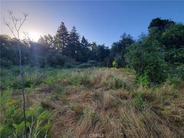 a view of a pathway with a yard
