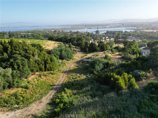 a street view with yard