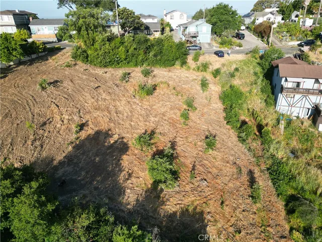 a view of a yard with plants and a bench