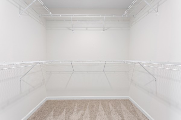 249 Samuel Street Pendleton, SC 29670 - Photo 17 of 33 This spacious walk-in closet features ample wire shelving for organized storage.