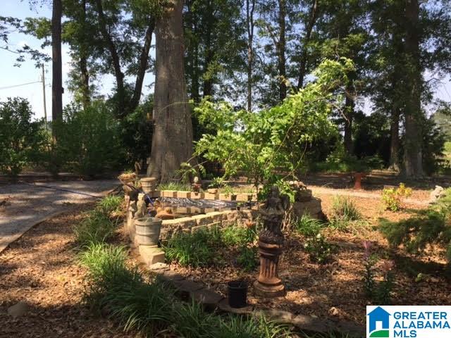 352 Michaels Cove Talladega, AL 35160 - Photo 13 of 31