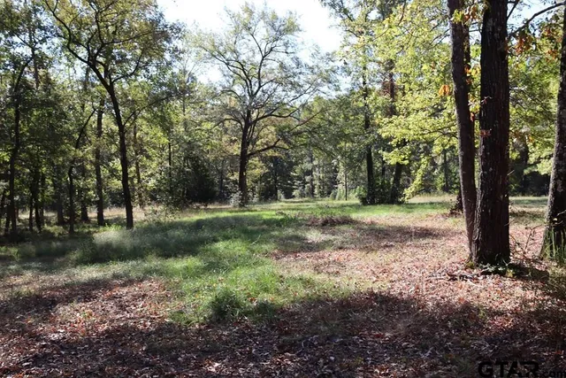 $599,000 | 1694 Farm To Market Road 319, Elkhart, TX 75839