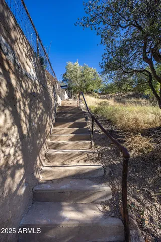 a view of a yard in a back yard
