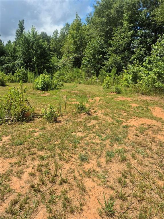 0 Newnan Road Griffin, GA 30223 - Photo 3 of 5