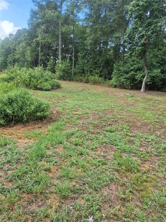 0 Newnan Road Griffin, GA 30223 - Photo 4 of 5