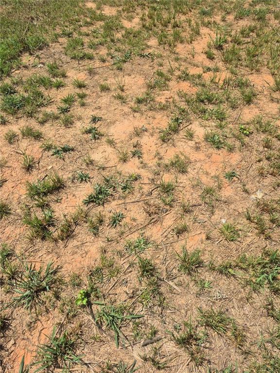 0 Newnan Road Griffin, GA 30223 - Photo 5 of 5