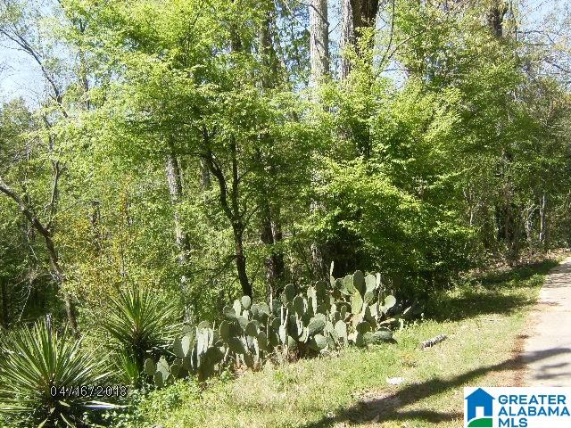 2686 Jackson Road Morris, AL 35116 - Photo 49 of 49 Gallery Image 49