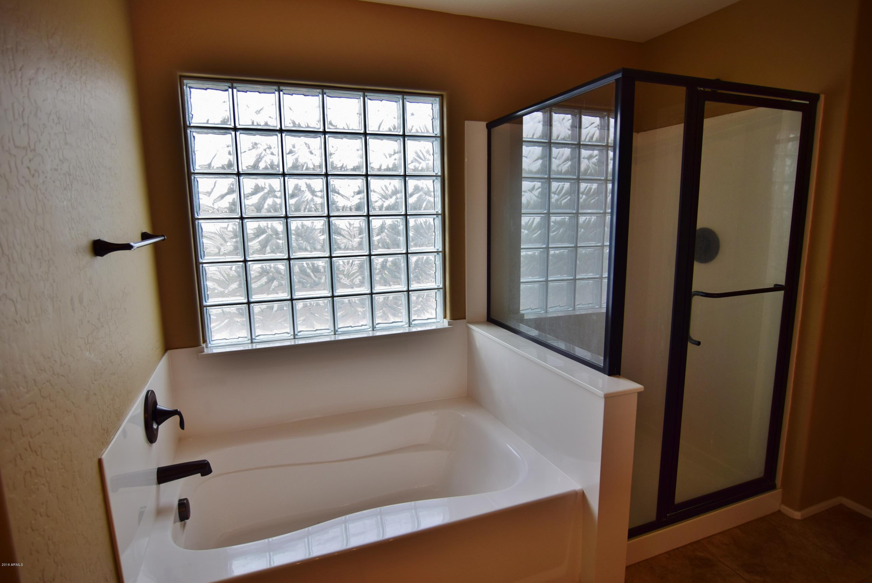 849 West Trellis Road San Tan Valley, AZ 85140 - Photo 13 of 21 Master Bath