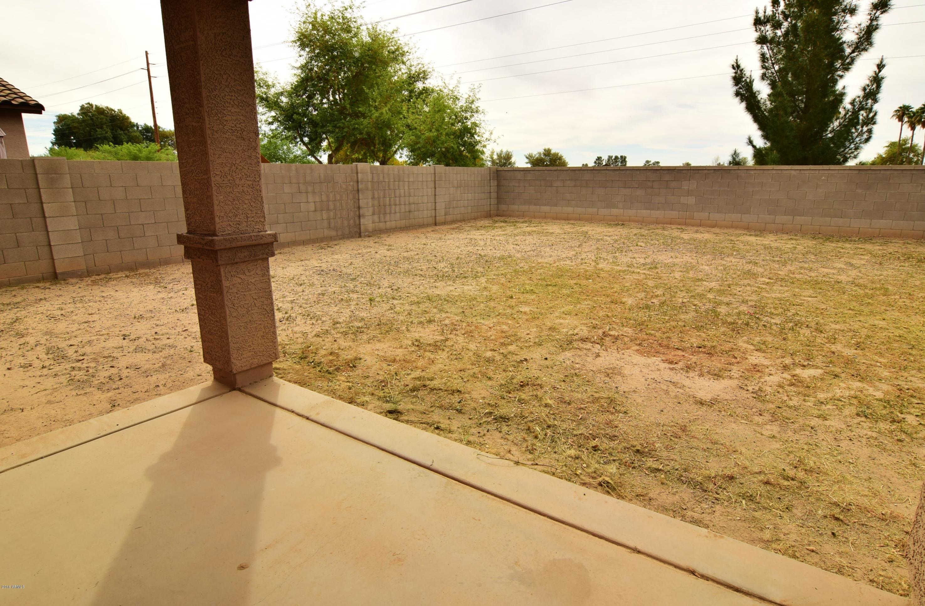 849 West Trellis Road San Tan Valley, AZ 85140 - Photo 20 of 21 Back Yard