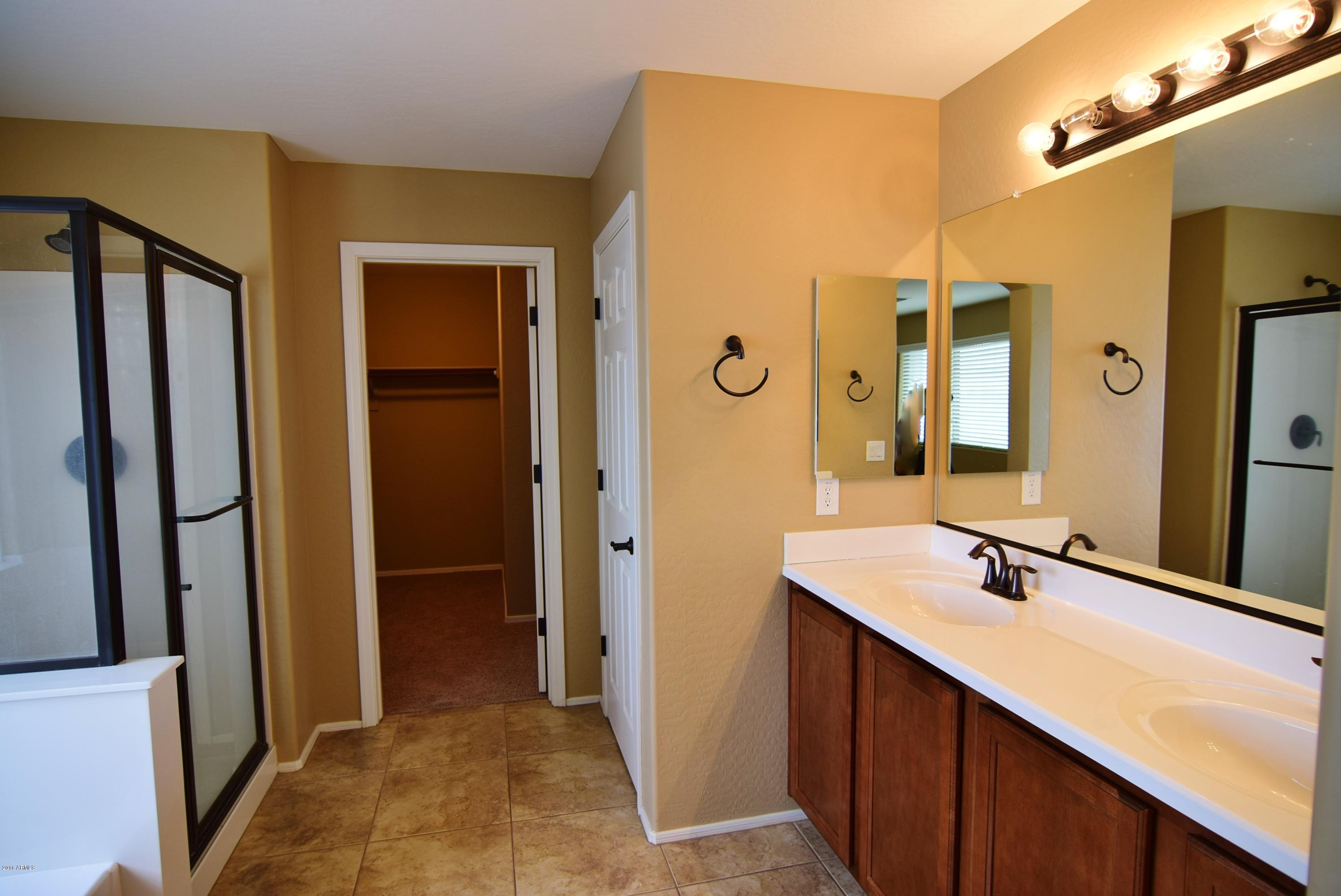 849 West Trellis Road San Tan Valley, AZ 85140 - Photo 10 of 21 Master Bath