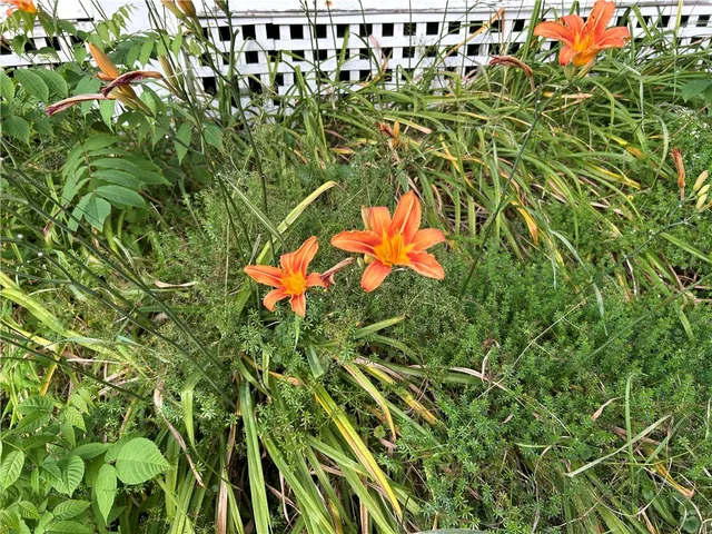 $168,000 | 48 Main Street, Maryland, NY 12155