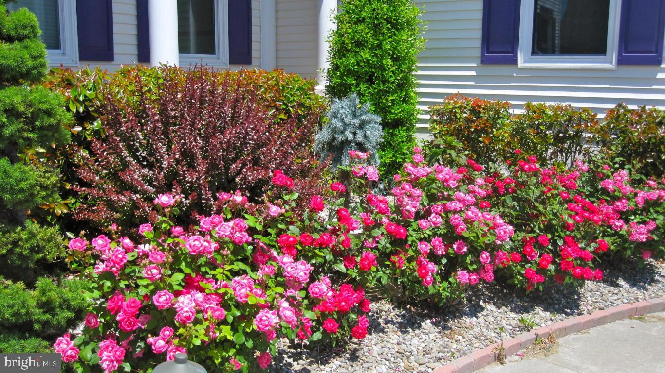 406 Bering Road Ocean City, MD 21842 - Photo 5 of 65 Gallery Image 5