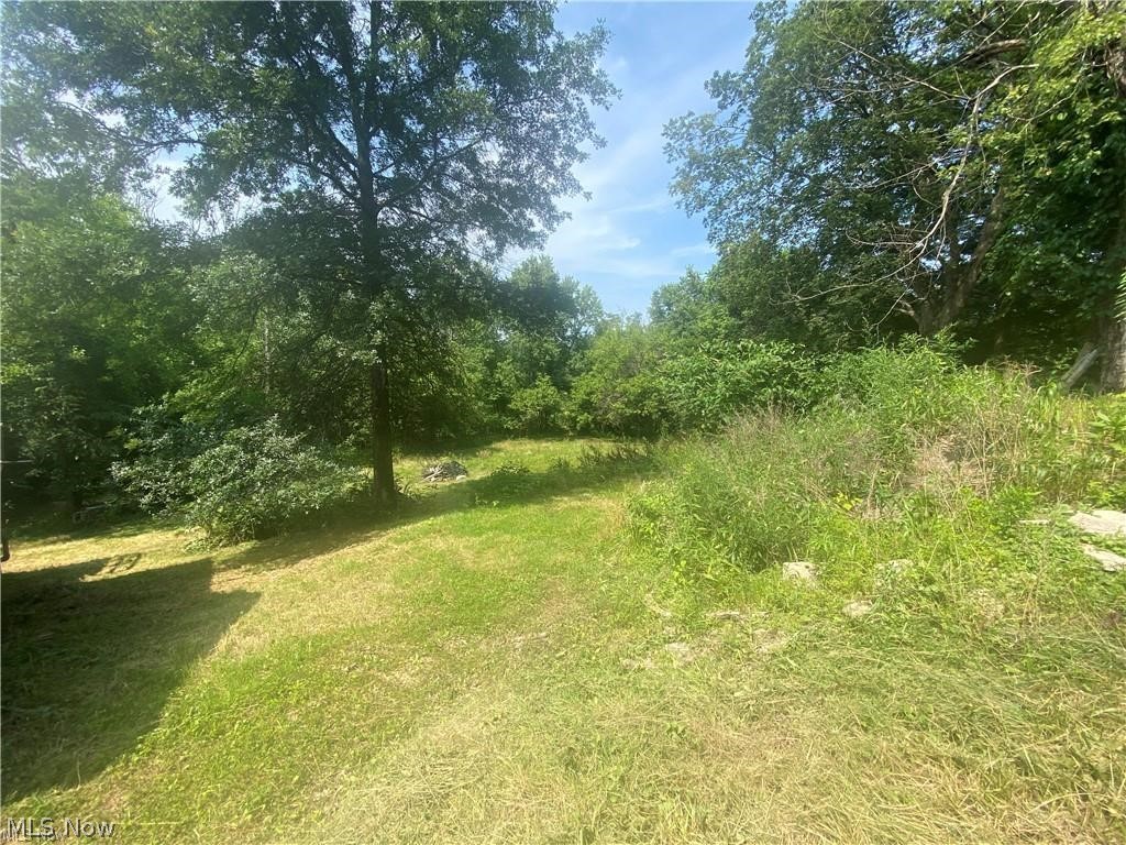 76040 Skull Fork Road Freeport, OH 43973 - Photo 11 of 34 Gallery Image 11
