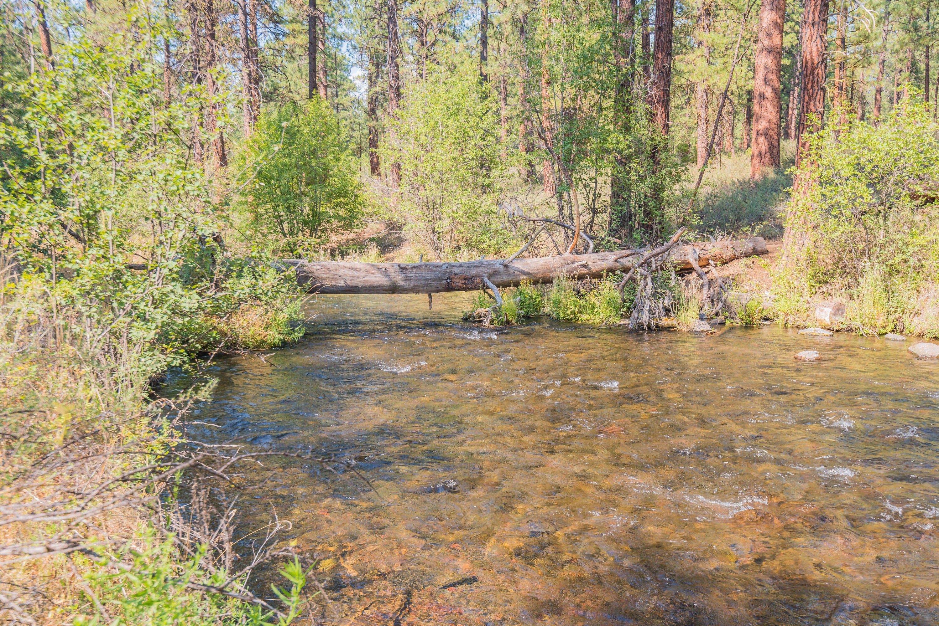 13245 Southwest Tract C Road Camp Sherman, OR 97730 - Photo 17 of 18 Metolius River