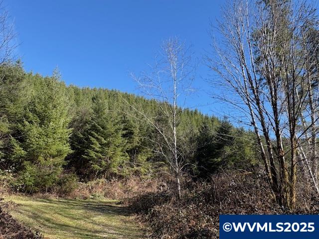 0 Steer Creek Road Blodgett, OR 97326 - Photo 11 of 14