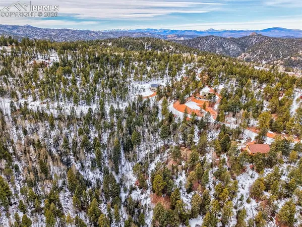 a view of a tree with a tree